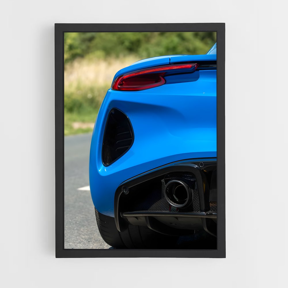 Poster Emira D'un – affiche Lotus (vue 2)